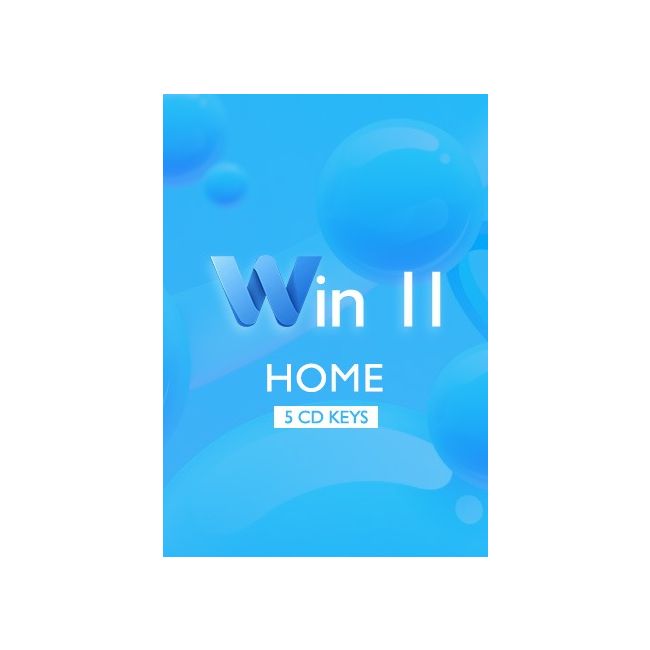 Win 11 Home - 5 Keys